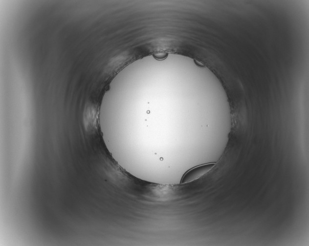 X0000103910142200809261618