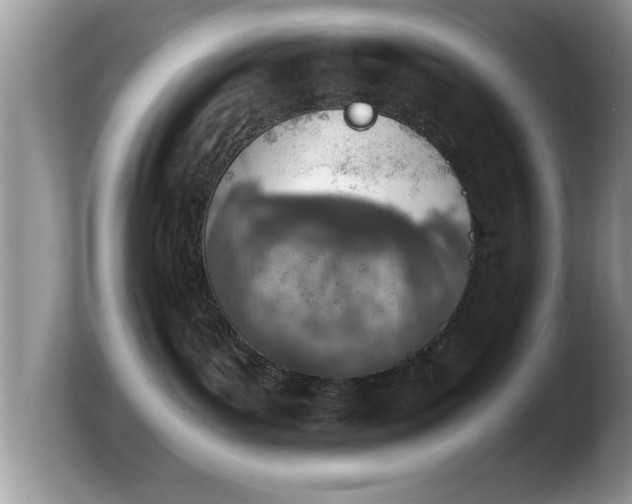 X0000103910143200809261618