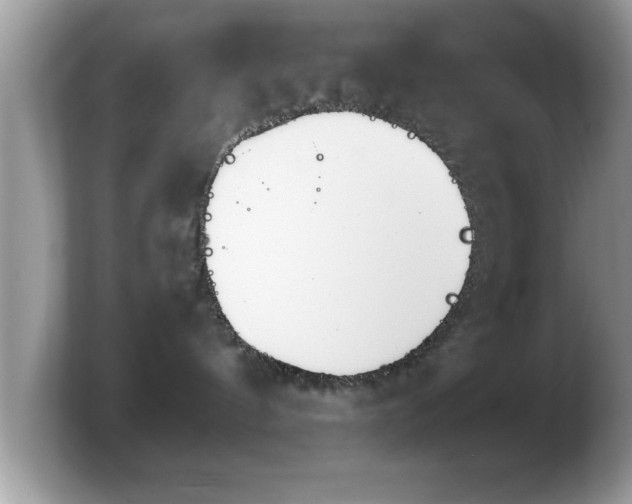 X0000103910144200809261618
