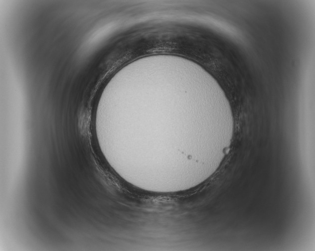 X0000103910146200809261617