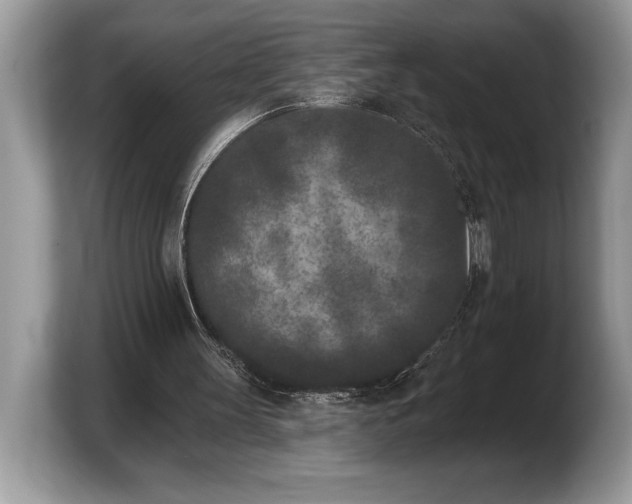X0000103910147200809261617