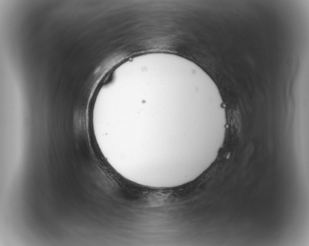 X0000103910148200809261617