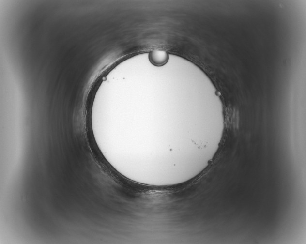 X0000103910150200809261617