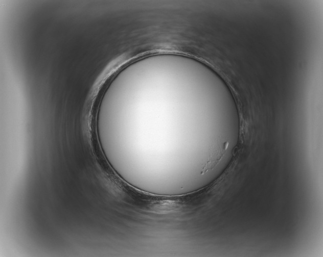 X0000103910151200809261617