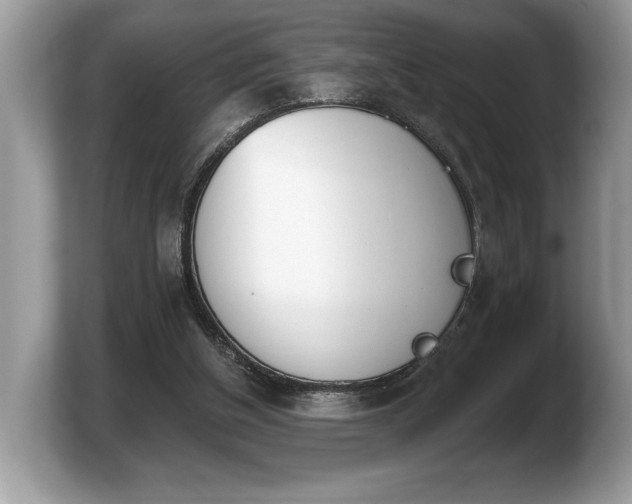 X0000103910154200809261617