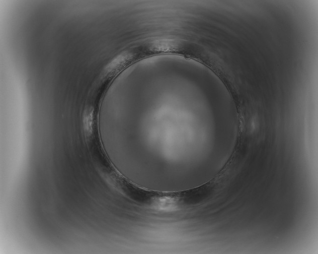 X0000103910163200809261617