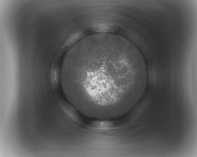 X0000103910165200809261617