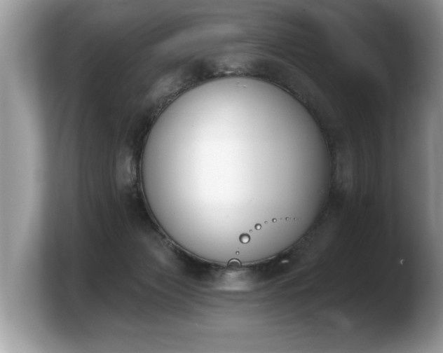 X0000103910173200809261617