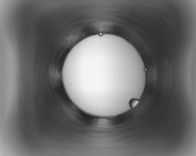 X0000103910176200809261617