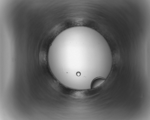 X0000103910178200809261617