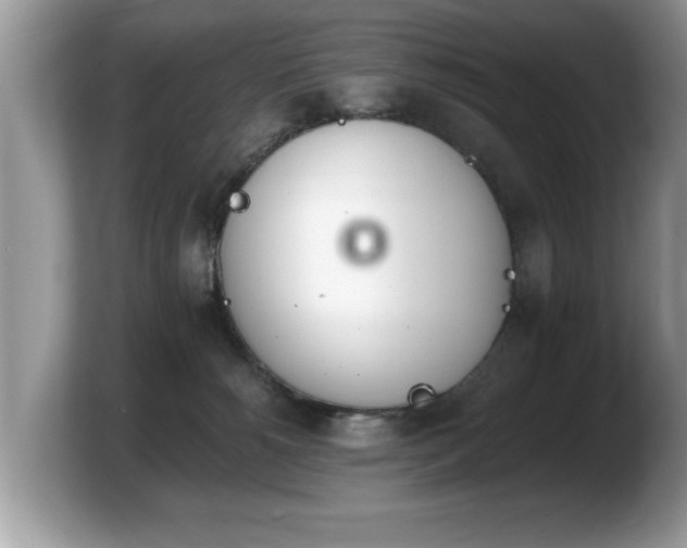 X0000103910180200809261617