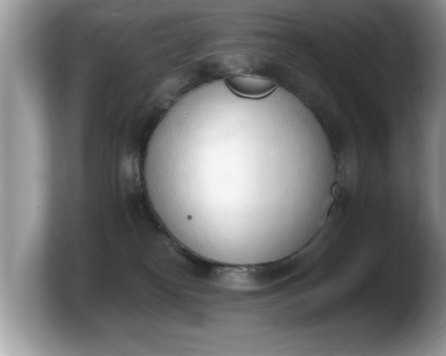 X0000103910182200809261617