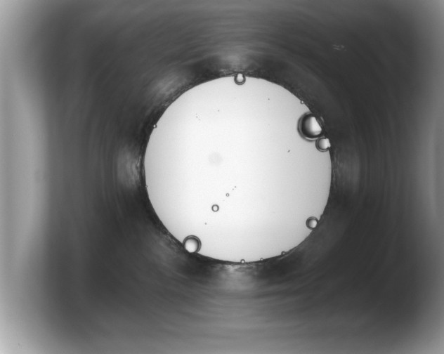 X0000103910188200809261617
