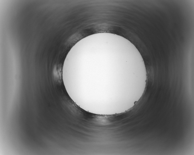 X0000103910190200809261617