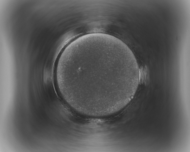 X0000103910195200809261617