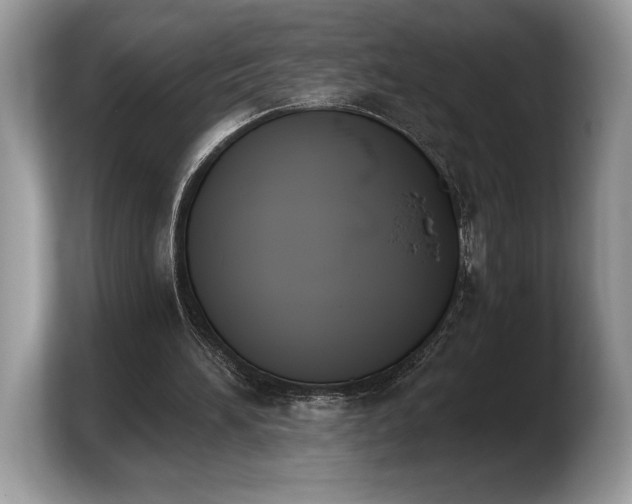 X0000103910196200809261617