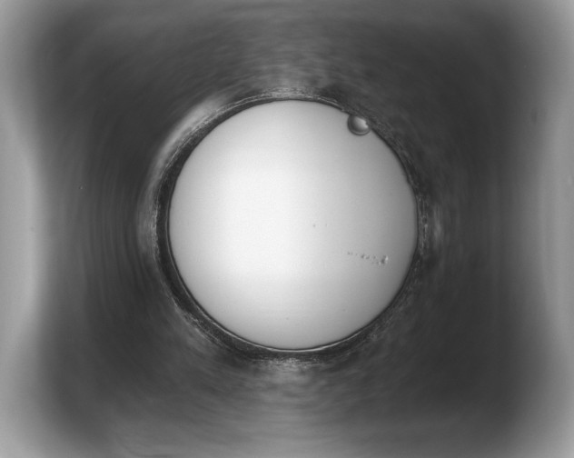 X0000103910197200809261617