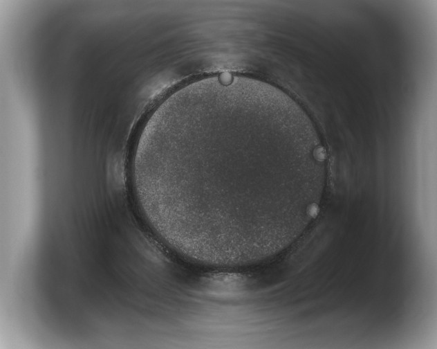 X0000103910203200809261617
