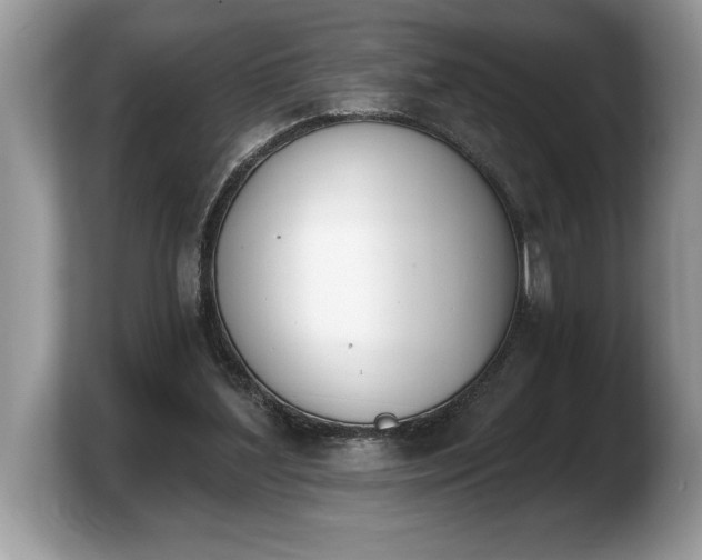 X0000103910204200809261617