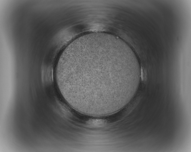 X0000103910205200809261617