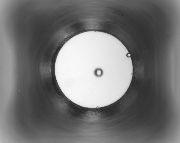 X0000103910207200809261617