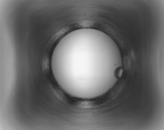 X0000103910212200809261617