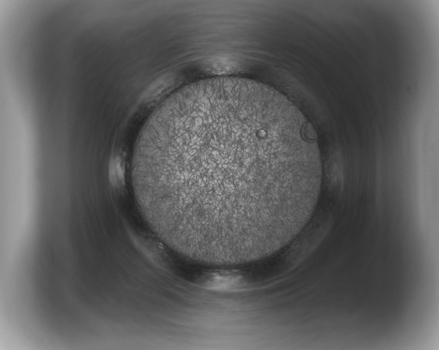 X0000103910214200809261617