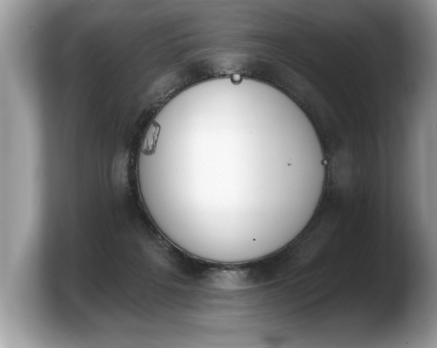 X0000103910217200809261617