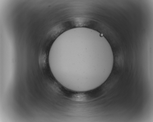 X0000103910219200809261616