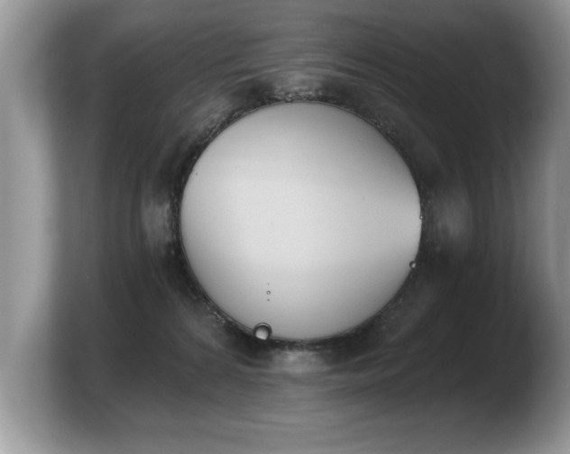X0000103910224200809261616