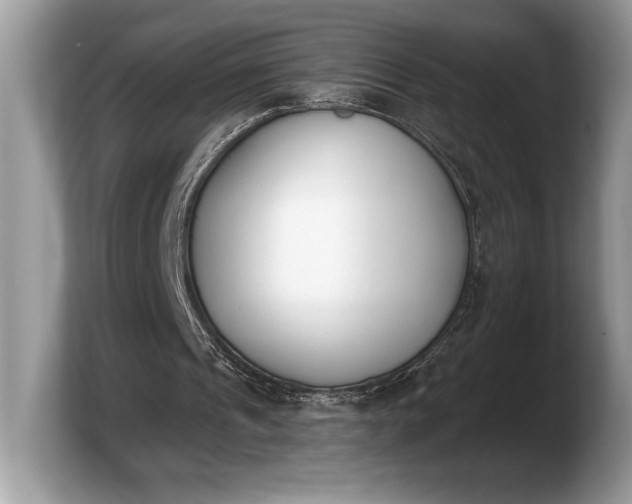X0000103910241200809261616