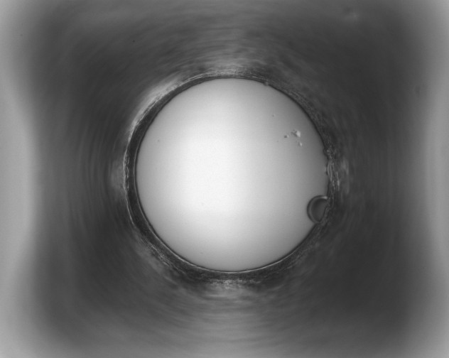 X0000103910244200809261616