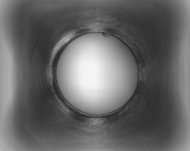 X0000103910245200809261616