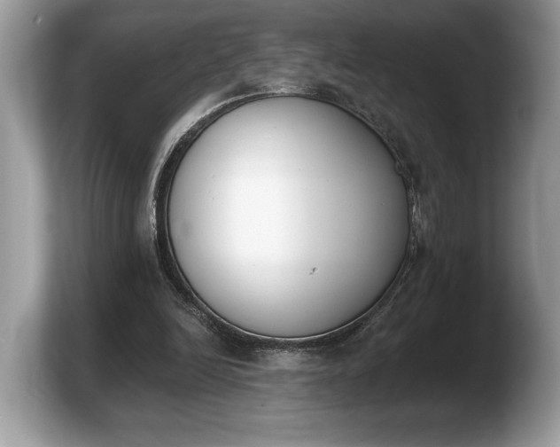 X0000103910246200809261616