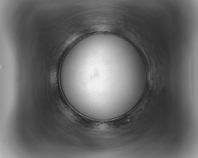 X0000103910249200809261616