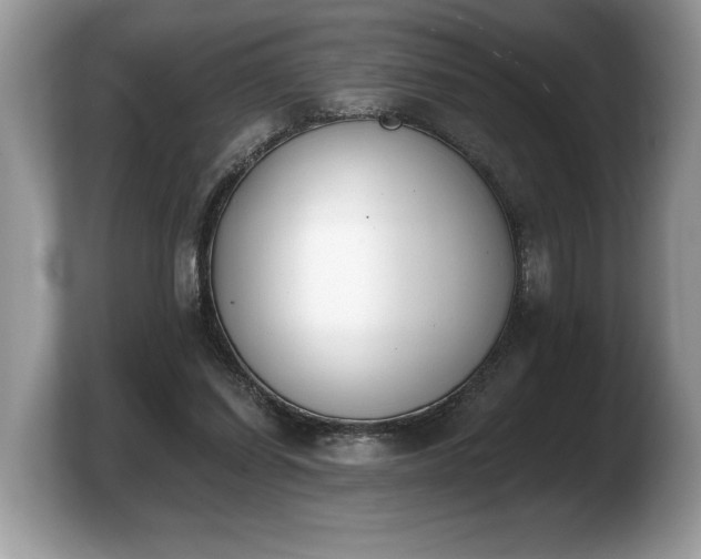 X0000103910254200809261616