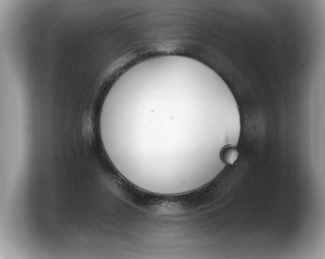 X0000103910256200809261616