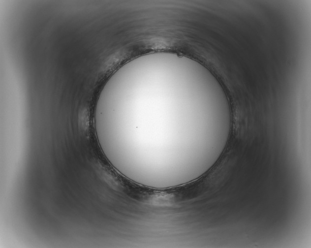 X0000103910257200809261616