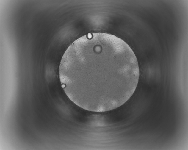 X0000103910272200809261616