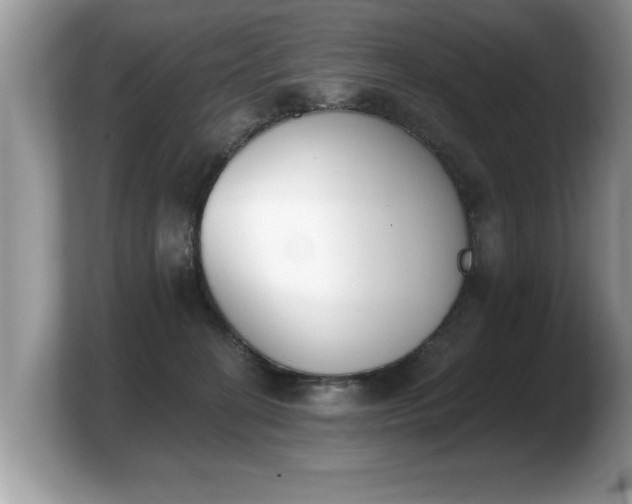 X0000103910274200809261616
