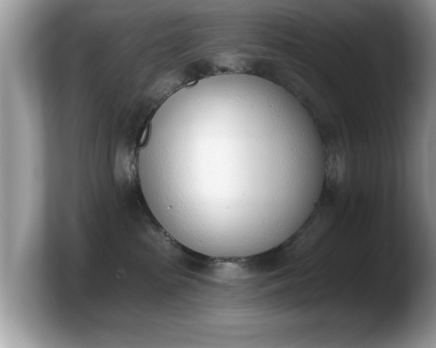 X0000103910285200809261616