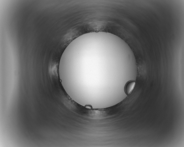 X0000103910286200809261616