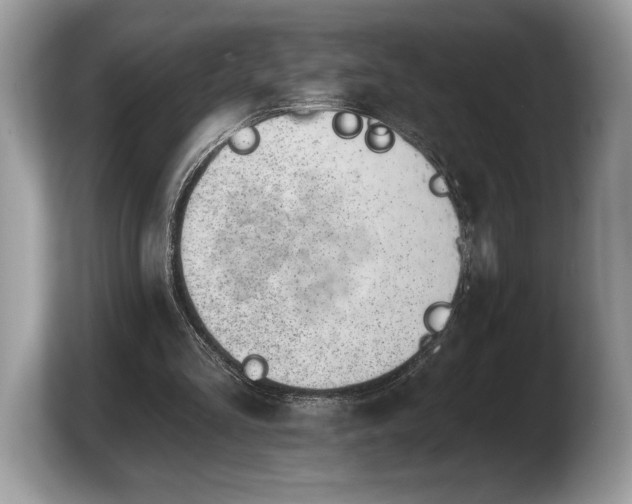 X0000103910293200809261616