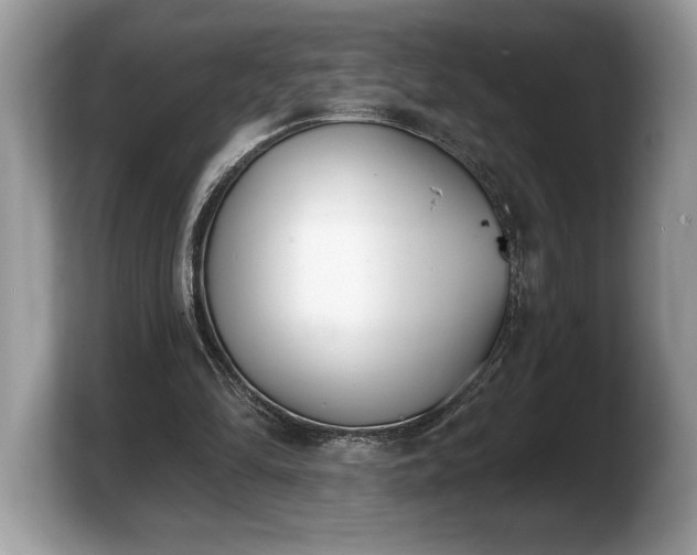 X0000103910294200809261616