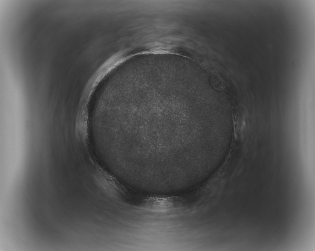 X0000103910295200809261615