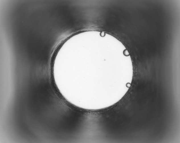 X0000103910296200809261615