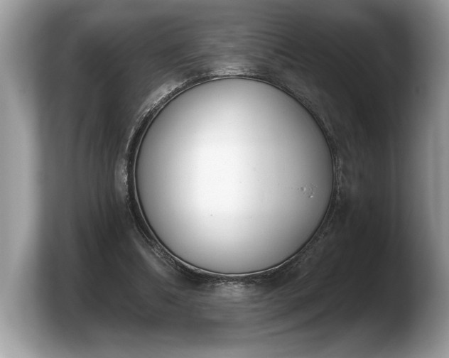 X0000103910298200809261615