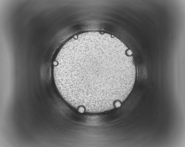 X0000103910301200809261615