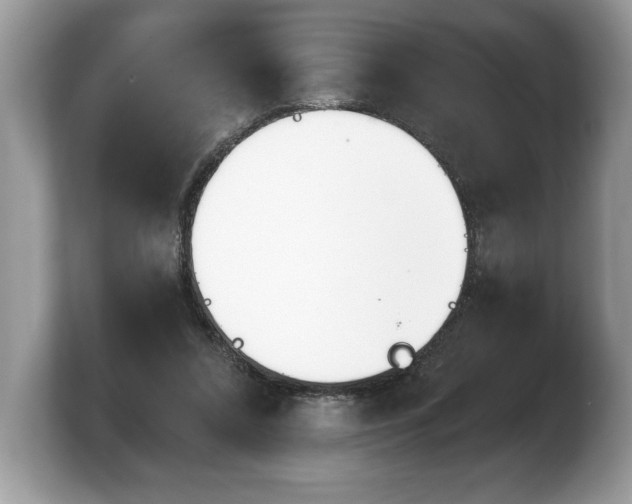 X0000103910304200809261615