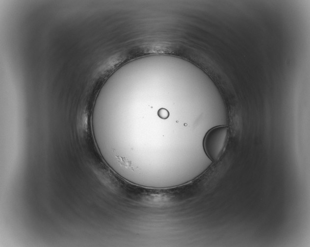 X0000103910310200809261615